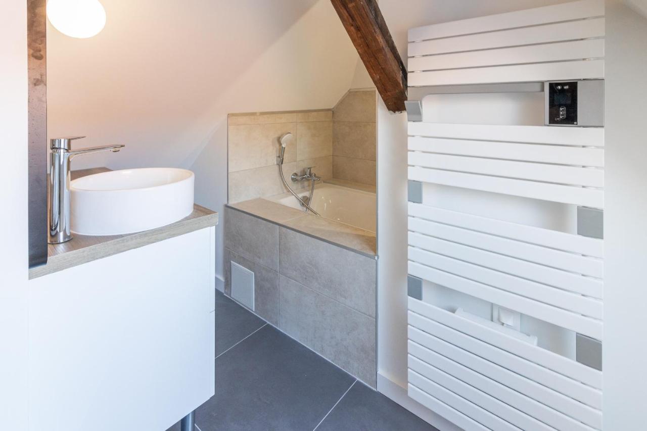 Magnifique Appartement Duplex Climatise De 40M² Nancy Extérieur photo