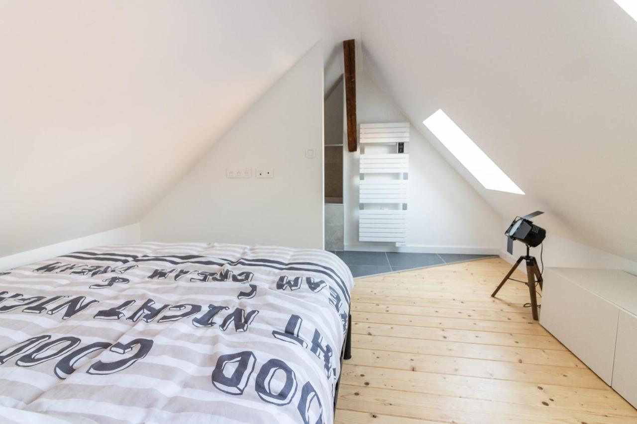 Magnifique Appartement Duplex Climatise De 40M² Nancy Extérieur photo
